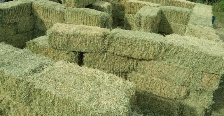 Many small square hay bales are stacked and arranged in a maze pattern.
