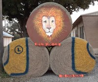Hamilton Lions Club and The Partin Agency Hamilton Lions Club and The Partin Agency