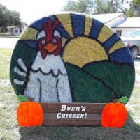 Bush's Chicken Bush's Chicken
