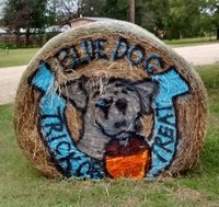 Blue Dog Liquor Blue Dog Liquor