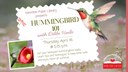 hummingbird 101.jpg