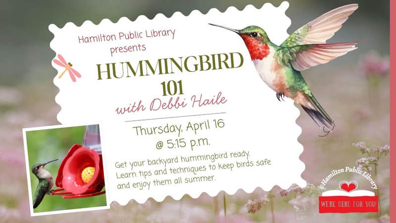 hummingbird 101.jpg