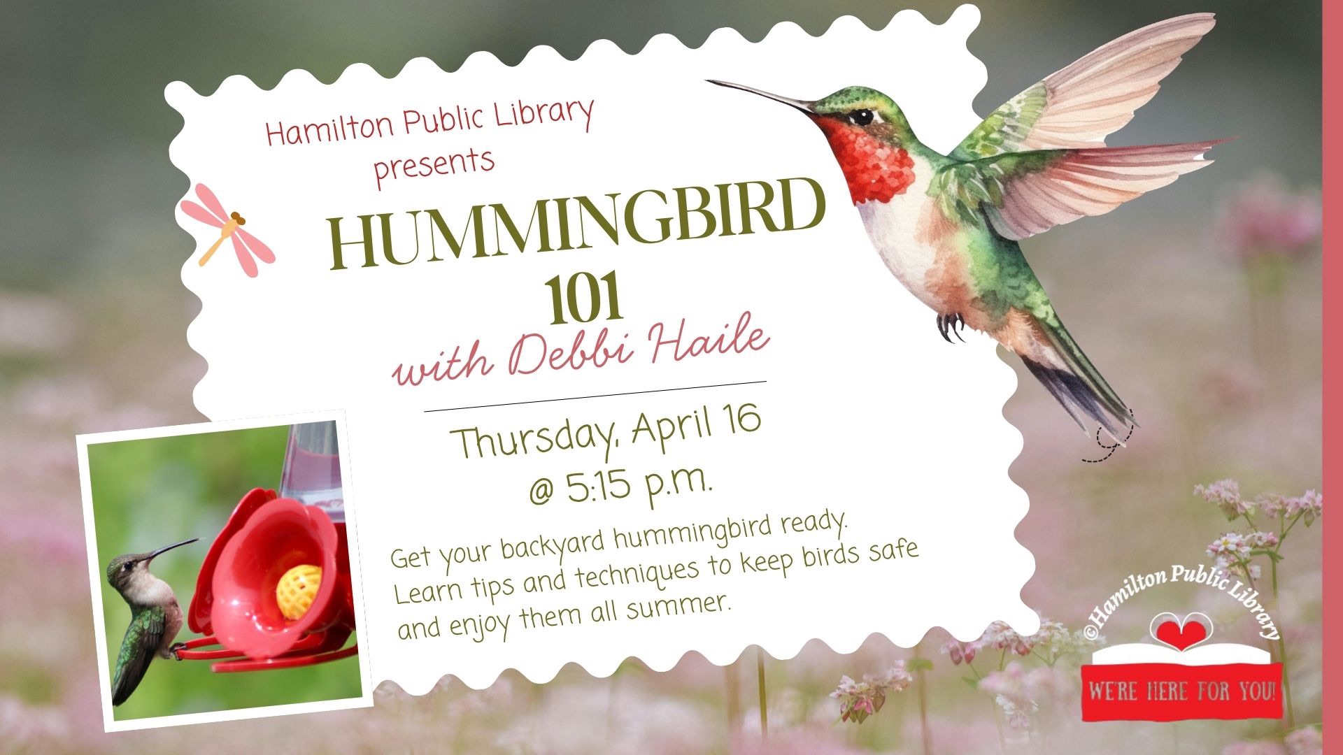hummingbird 101.jpg