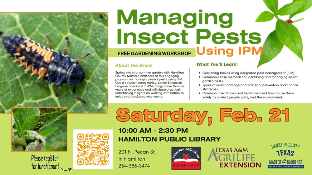 Managing Insect Pets Using IPM: Free Gardening Workshop. Saturday, Feb. 21. 10 AM - 2:30 PM. Hamilton Public Library. Texas A&M AgriLife Extension. Hamilton County Texas Master Gardeners.
